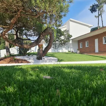 Pinheiro Manso * Apúlia