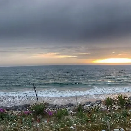 Pinheiro Manso Apúlia