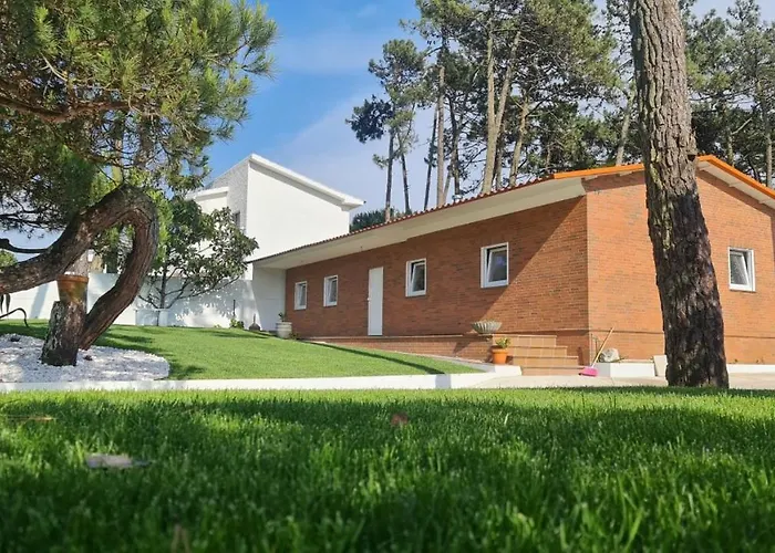 Pinheiro Manso Tatil Evi Apúlia