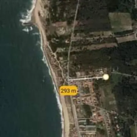 Pinheiro Manso * Apúlia