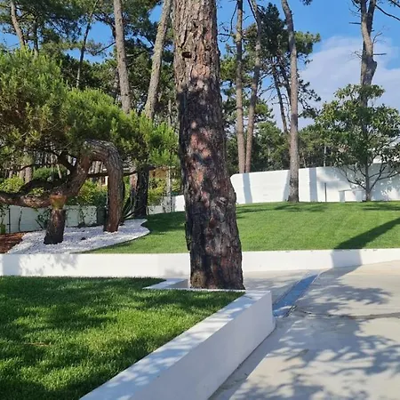 度假居 Pinheiro Manso *