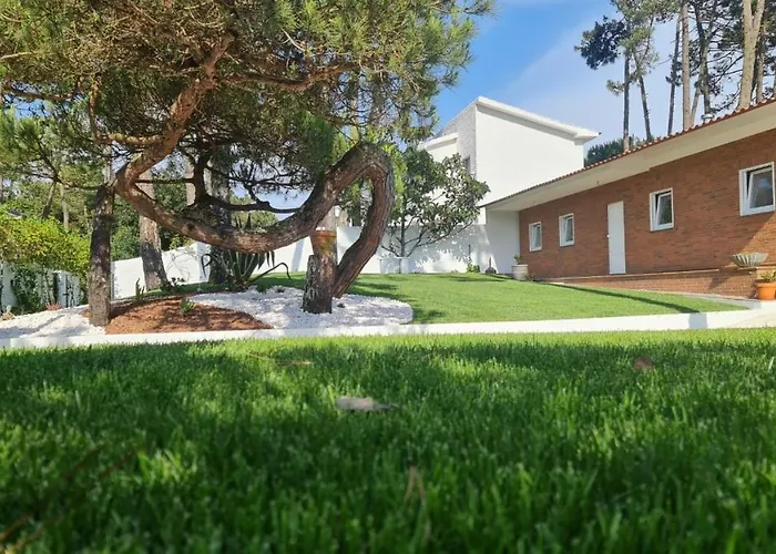 Pinheiro Manso * Apúlia