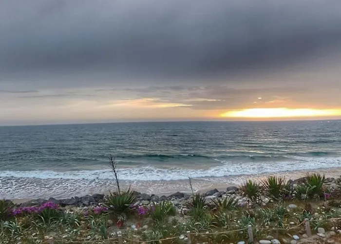 Pinheiro Manso Apúlia