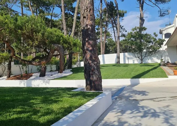 度假居 Pinheiro Manso *